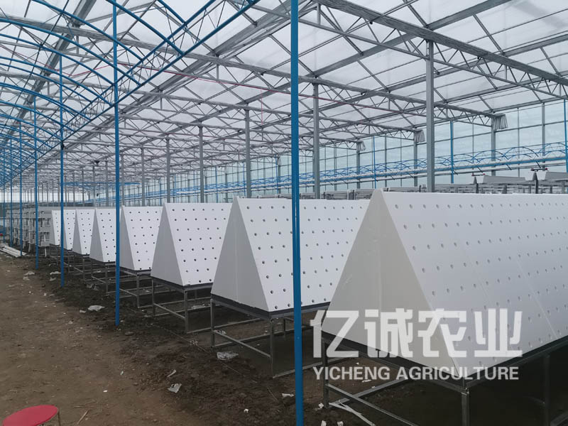 薯類(lèi)作物的溫室大棚怎么建設(shè)？造價(jià)高不高？